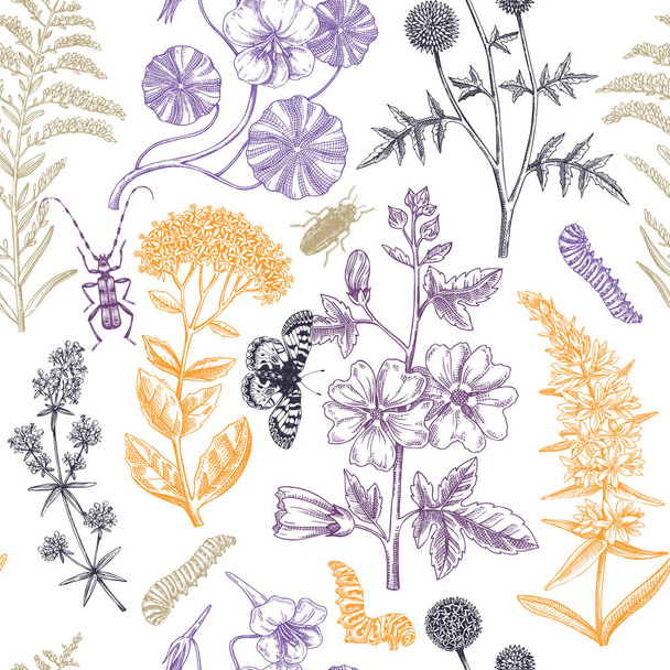 Hand drawn summer background. Garden flowering plants with insects design. Floral seamless pattern. Botanical illustrations for textile, fabric, packaging. Hibiscus, mallow, primrose, thistle sketches - Vettoriali, immagini