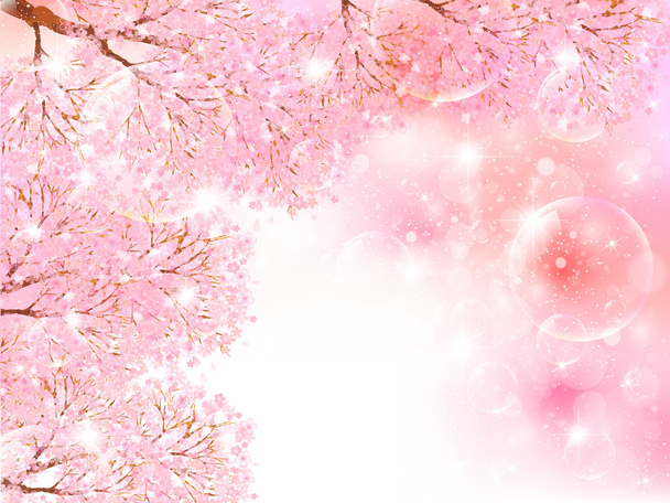 Hintergrund Kirschblüte - Vektor, Bild