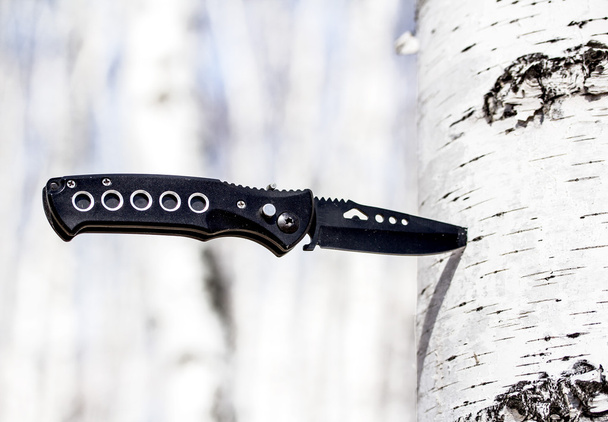 Knife stuck in a birch tree - Photo, Image