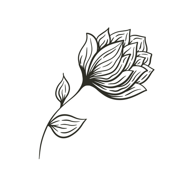 Única flor preta desenhada à mão isolada no fundo branco. Desenho ilustração estilo. Ilustração vetorial - Vetor, Imagem