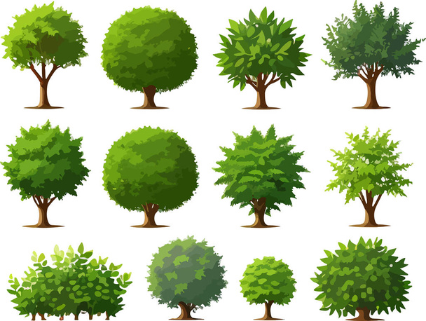 Super forest trees bushes plants art vector. Vector illustration - Vector, Imagen
