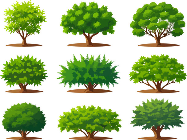 Breathtaking forest trees bushes plants art vector. Vector illustration - Vektori, kuva