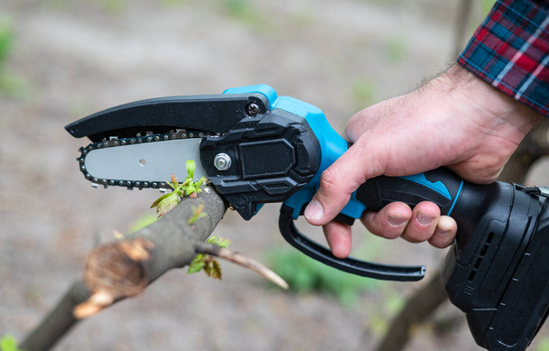 Main tient la scie à chaîne légère avec batterie pour couper la branche cassée d'un arbre, par temps ensoleillé - Photo, image
