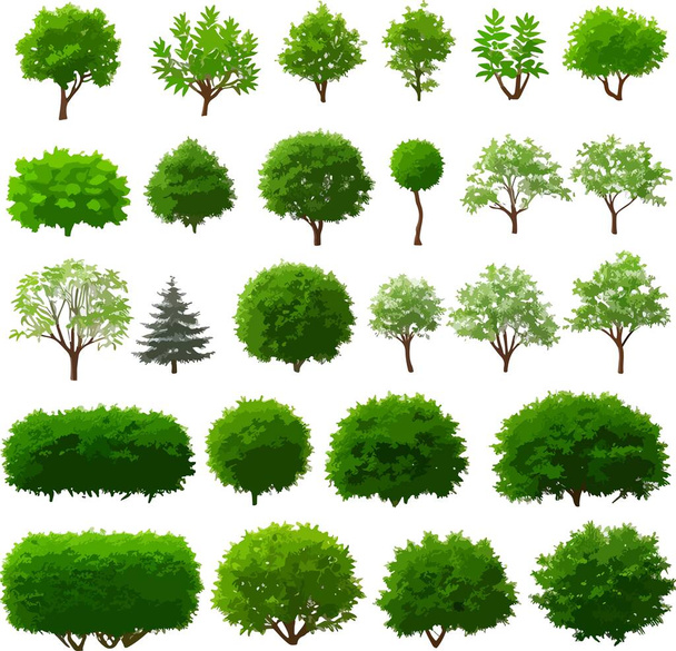 Beautiful forest trees bushes plants art vector. Vector illustration - Vektori, kuva