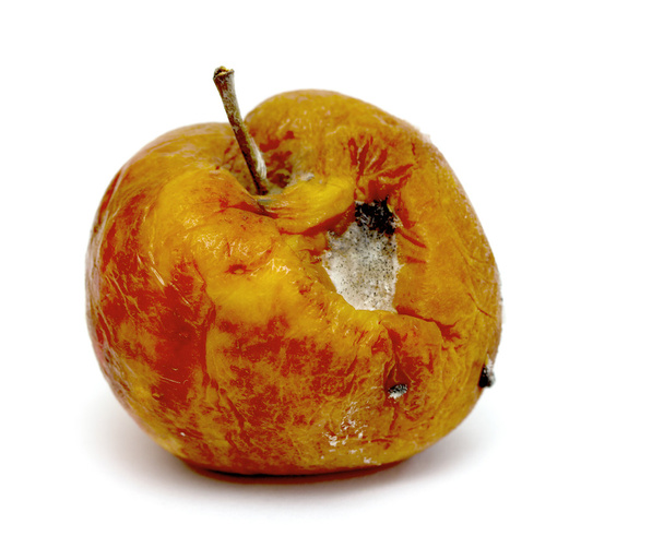 Zepsute zgniłe jabłko - Zdjęcie, obraz