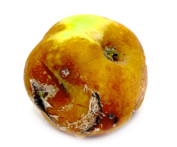 Zepsute zgniłe jabłko - Zdjęcie, obraz