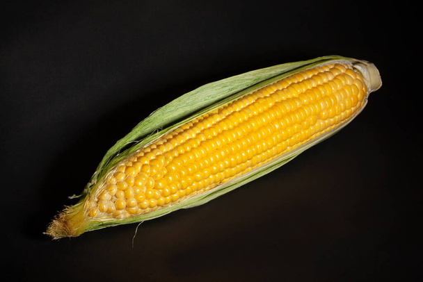 corn cob on black background - Fotó, kép