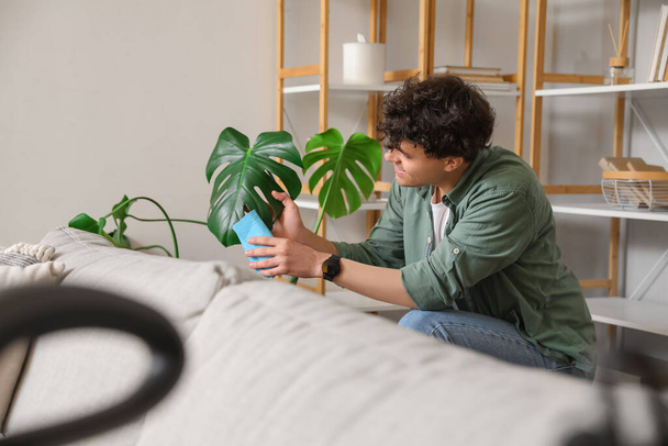 Young man wiping leaves of Monstera houseplant at home - Foto, Imagem