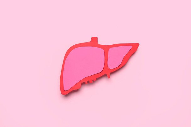 Paper liver on pink background - Photo, Image