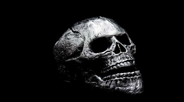 Vista frontal de un cráneo humano hecho de estuco
 - Foto, imagen
