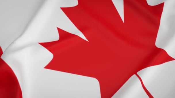 Canada Day is a national holiday celebrated in Canada on July 1st each year. - Foto, afbeelding