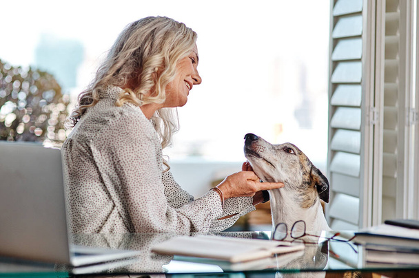 Ahí estás, cariño. una atractiva mujer de negocios senior jugando con su perro mientras trabaja desde casa - Foto, Imagen