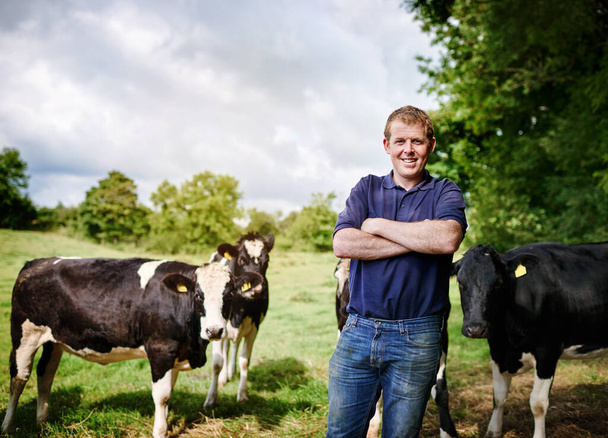 Portrait, agriculture and cows with a man on a dairy farm outdoor in summer for natural sustainability. Confident, milk or meat farming and a young male farmer standing on an open field or meadow. - Foto, imagen