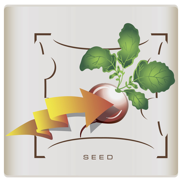 Packaging seeds of radish - Vector, Image