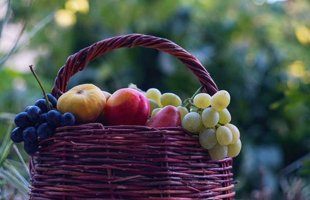                                Σταφύλια και διάφορα φρούτα βρίσκονται στο καλάθι - Φωτογραφία, εικόνα