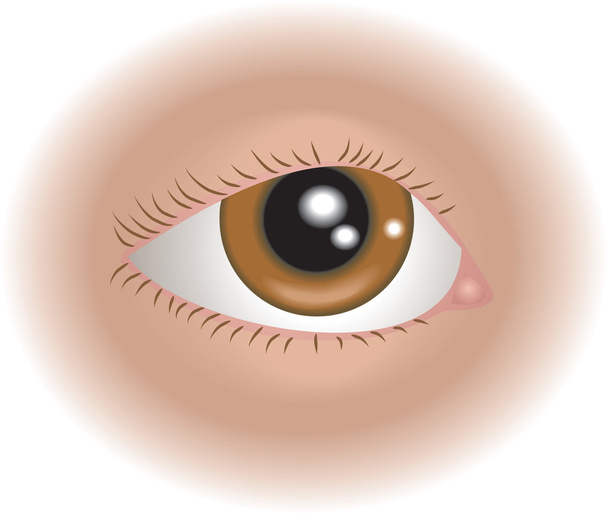 oog illustratie - Vector, afbeelding