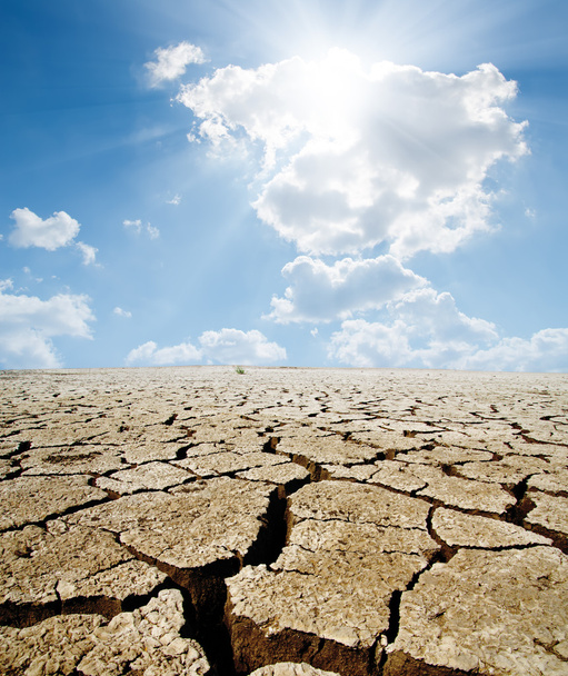 Tierras de sequía
 - Foto, Imagen
