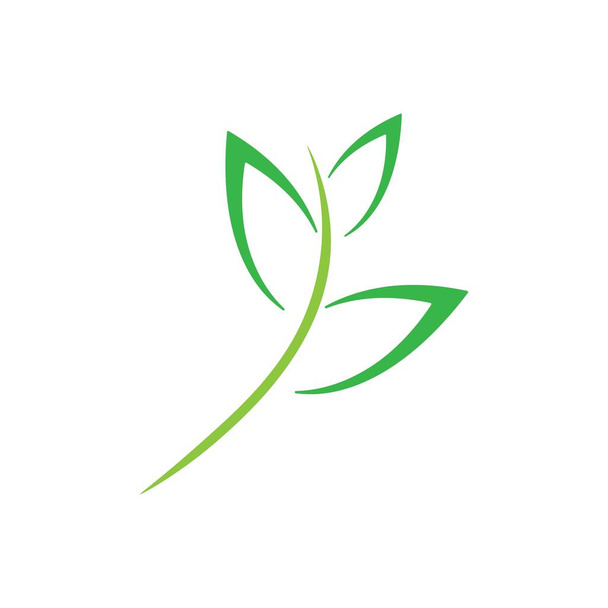 leaf illustration logo vector design - Vektor, obrázek