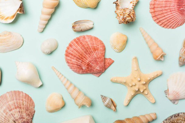 Sea shells on color background, top view - Foto, imagen