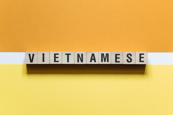 Vietnamese - word concept on cubes, text, letters - Fotoğraf, Görsel