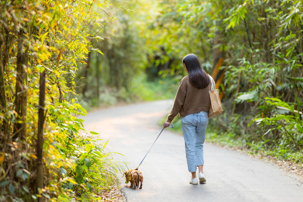 Lemmikkieläinten omistaja kävelee mäyräkoiran kanssa puistossa - Valokuva, kuva