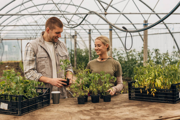 A caucasian man and woman work on a greenhouse. - Fotoğraf, Görsel