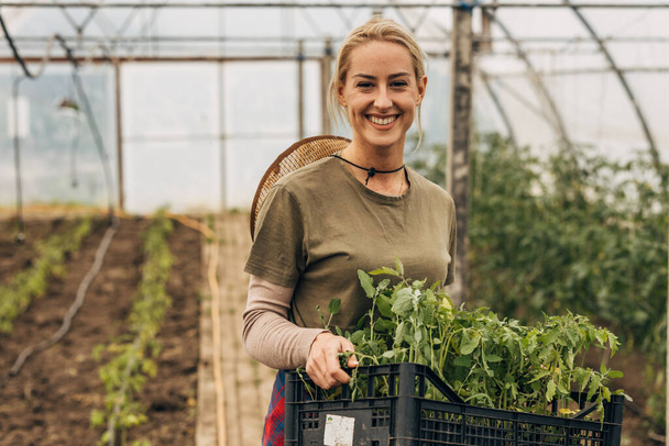 Happy woman carrying a crate with seedlings and looking at the camera. - Fotoğraf, Görsel