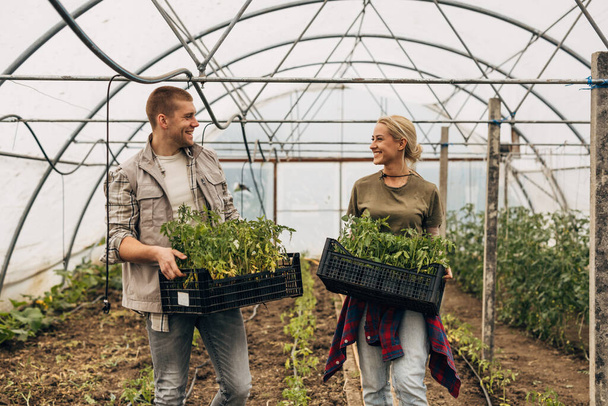 A beautiful young couple working together in a greenhouse. - Foto, Bild