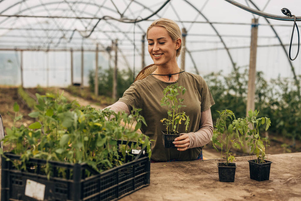 A beautiful young woman is working in a greenhouse. - Fotografie, Obrázek