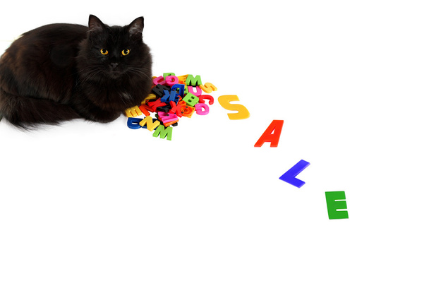 Musta kissa on kirjaimissa, joissa on sana myynti
 - Valokuva, kuva