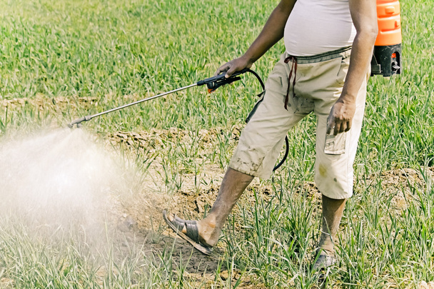 Γεωργός ψεκάζοντας λίπασμα σε καλλιέργεια - Φωτογραφία, εικόνα