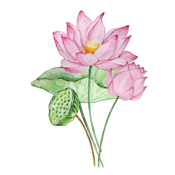 Acquerello bouquet acqua lilly, luglio nascita mese fiore, design per stampe e carte - Foto, immagini