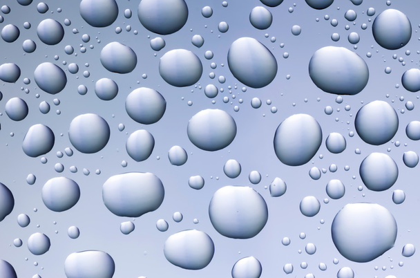 blue water drops - Photo, Image