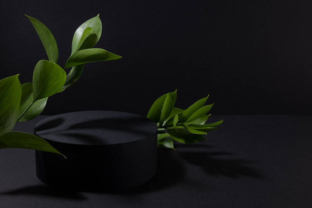 Black abstract stage one cylinder podium mockup, fresh green tropical leaves in hard light, shadows in elegant summer night style, scene template for presentation cosmetic products, goods, design. - Fotoğraf, Görsel