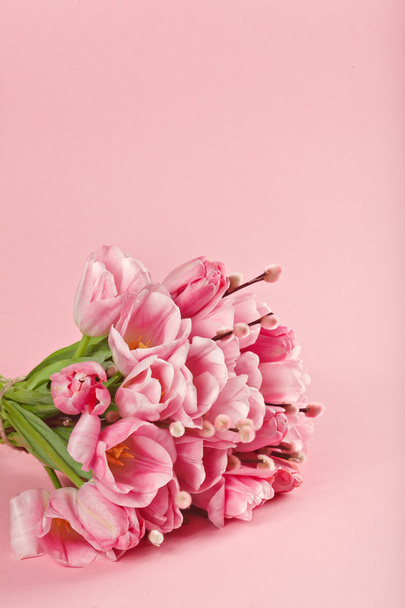 bouquet of pink tulips on pink background - Foto, afbeelding