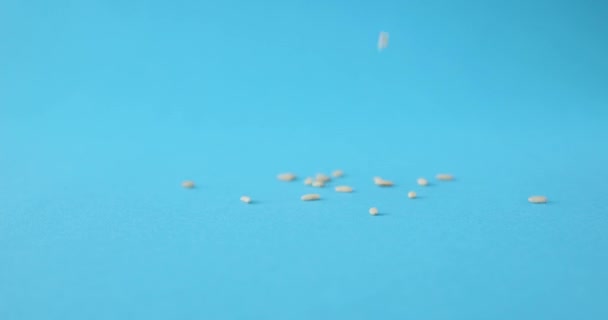 Primer plano de la caída de semillas de arroz sobre fondo azul. Arroz parcialmente precocinado y arroz cocido - Imágenes, Vídeo