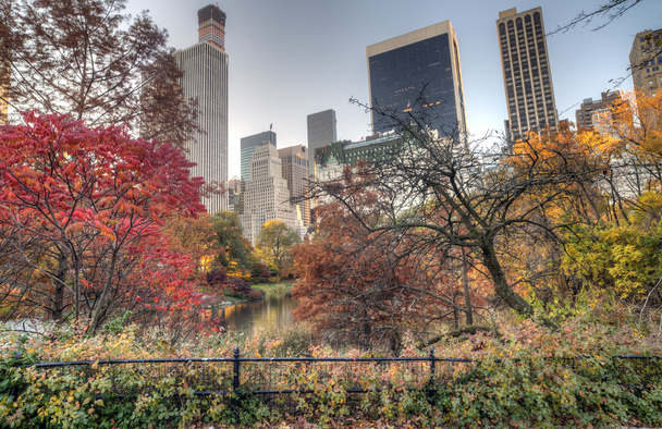 Central Park, New York város - Fotó, kép