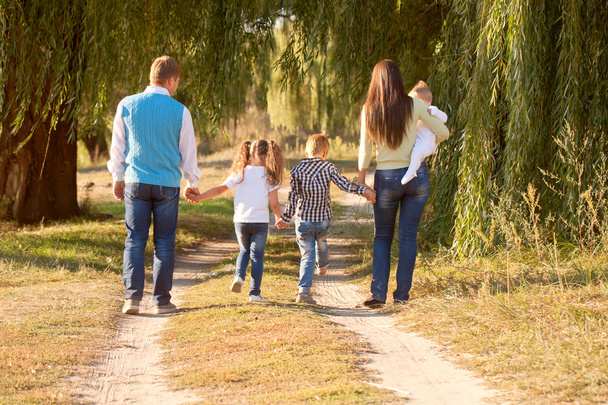 Μεγάλη οικογένεια περπάτημα στο πάρκο. Πίσω. - Φωτογραφία, εικόνα