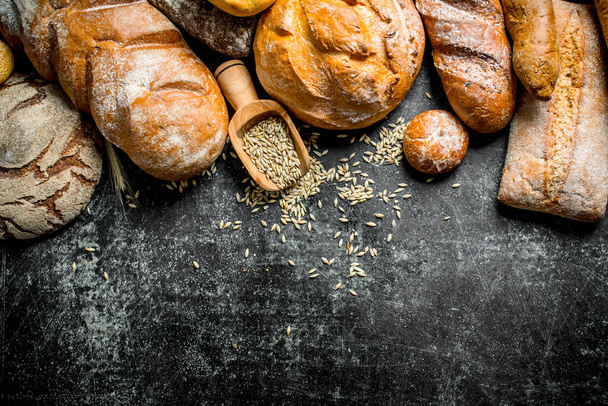 The range of types of fresh bread with grain. On dark rustic background - Фото, изображение