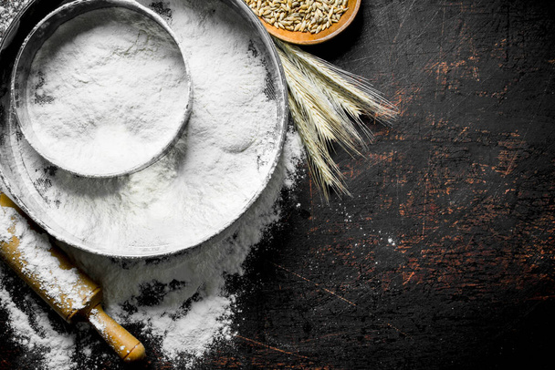 Flour in a sieve with grain, spikelets and rolling pin. On dark rustic background - 写真・画像