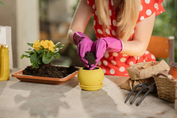 Flower shop worker potting plants. Cropped view of woman in garden gloves putting soil in flower pot. Cropped view of a lady in dress doing home gardening. High quality 4k footage - Photo, Image