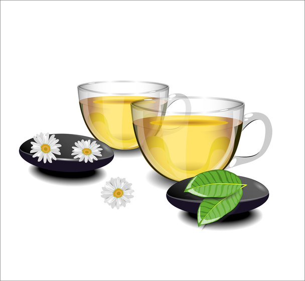 Twee kopjes groene thee met kamille bloemen en bladeren van thee ik - Vector, afbeelding