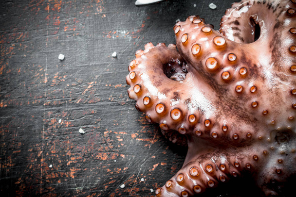 Seafood. Freshly caught octopus. On dark rustic background - Fotó, kép
