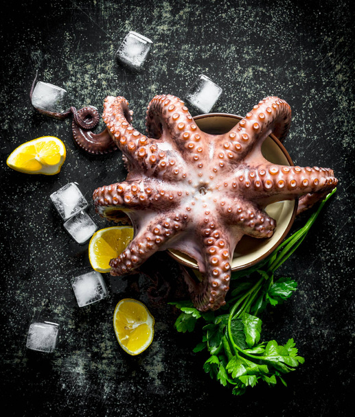 Fresh octopus with lemon, herbs and ice. On dark rustic background - Foto, Imagem