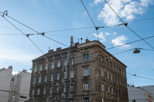 blue sky, nature and architecture on the street in the city of vienna - 写真・画像