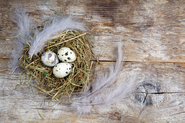 Easter decorations. Eggs in nests on wooden background - Foto, imagen
