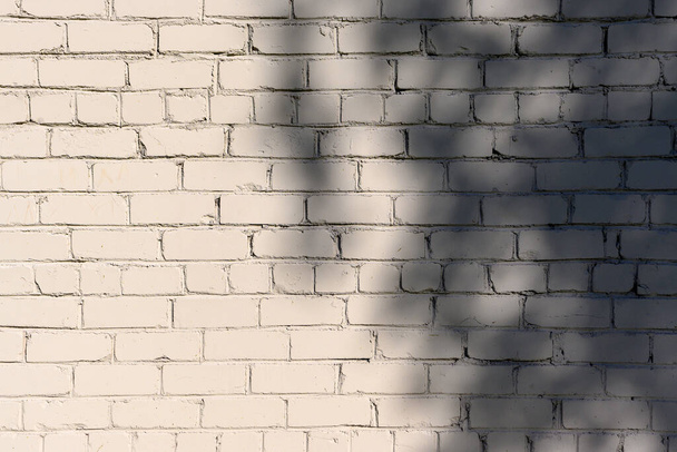 shadows from trees and sunlight on the wall of the building 4 - Φωτογραφία, εικόνα