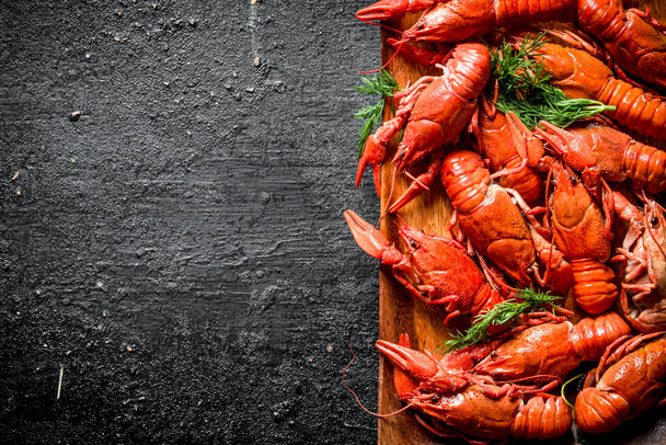 Boiled crayfish on a plate with dill. On black rustic background - 写真・画像