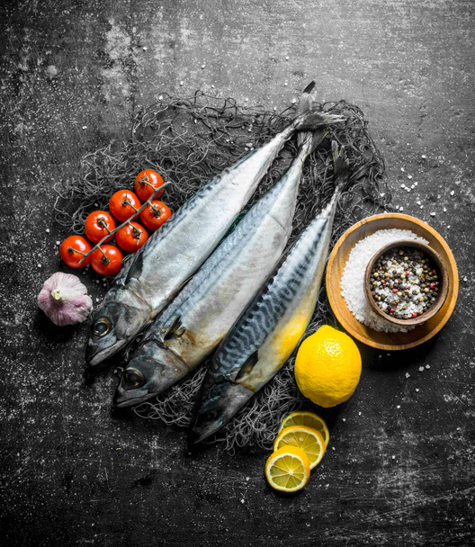 Fresh fish mackerel on a fishing net with tomatoes, garlic, lemon and spices. On dark rustic background - Foto, immagini