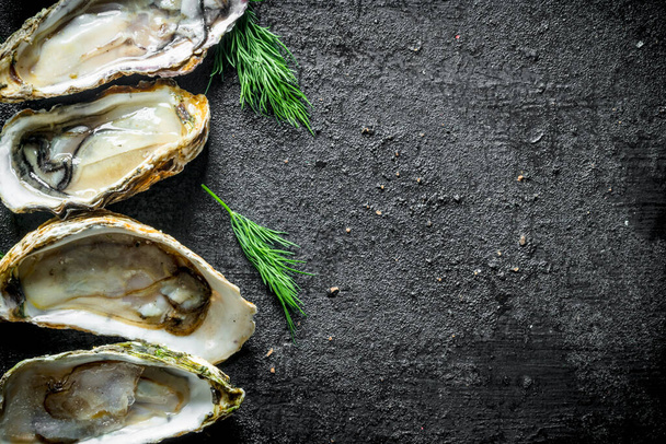 Appetizing raw oysters with dill. On black rustic background - Photo, Image